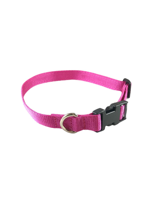 Standard 20mm Dog Collar