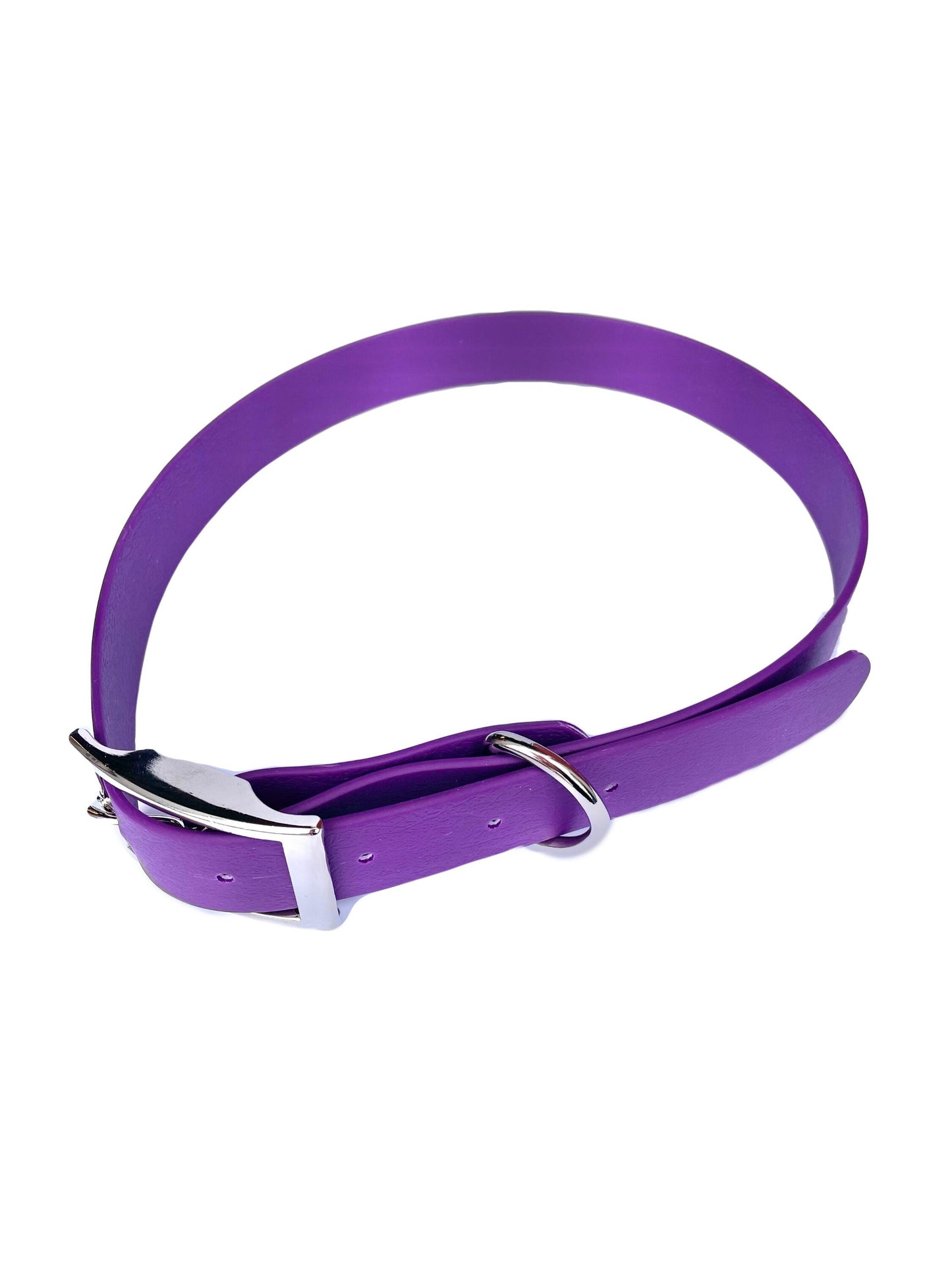 Waterproof Dog Collar (25mm)