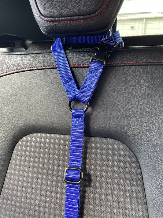 Dog Car Seat Belt