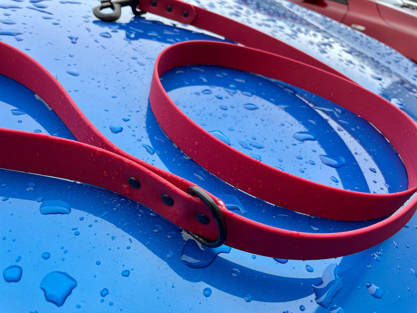 Waterproof Dog Lead