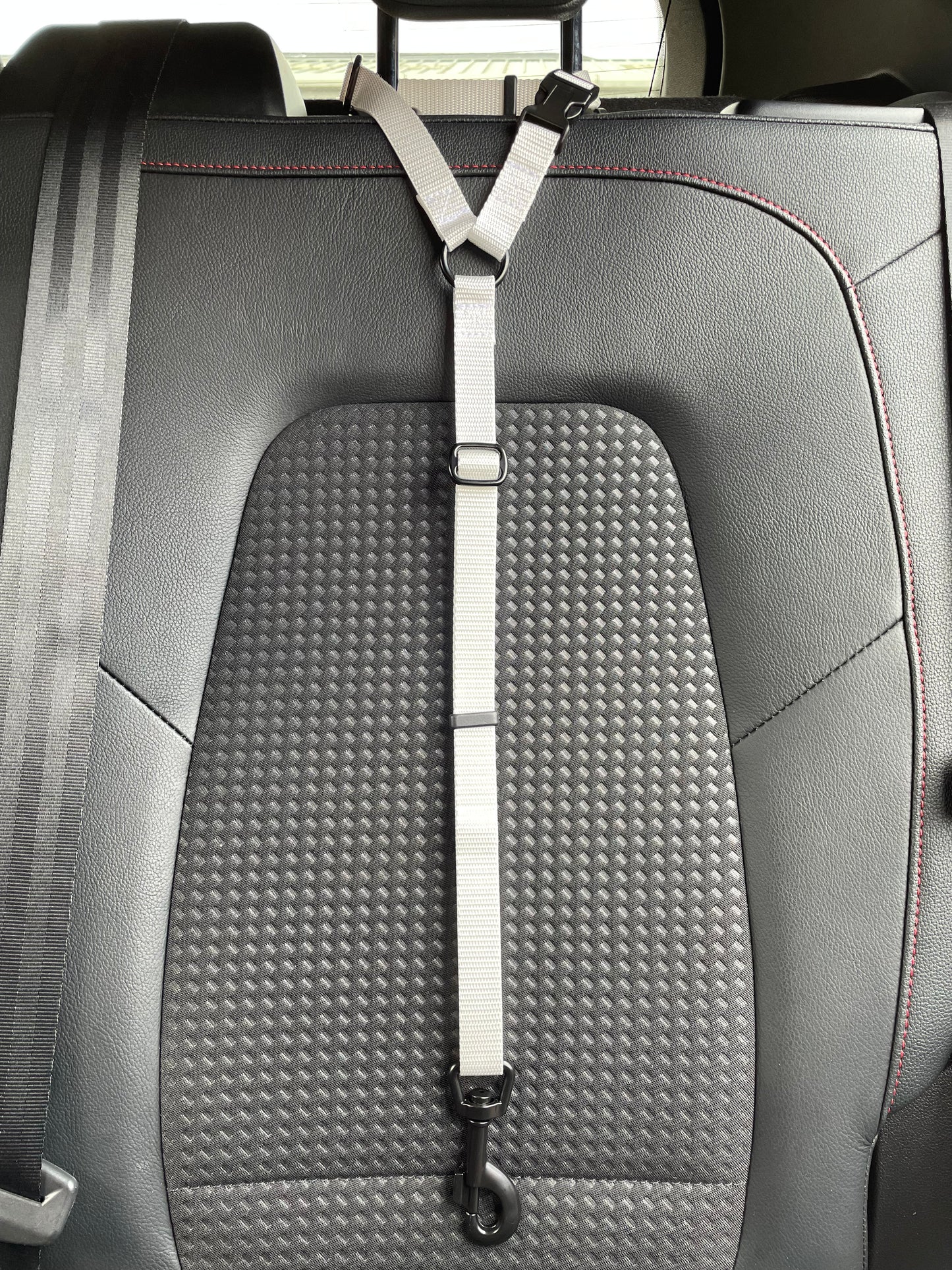 Dog Car Seat Belt