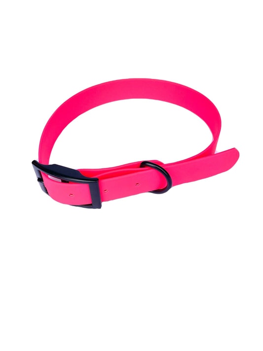 Waterproof Dog Collar (25mm)