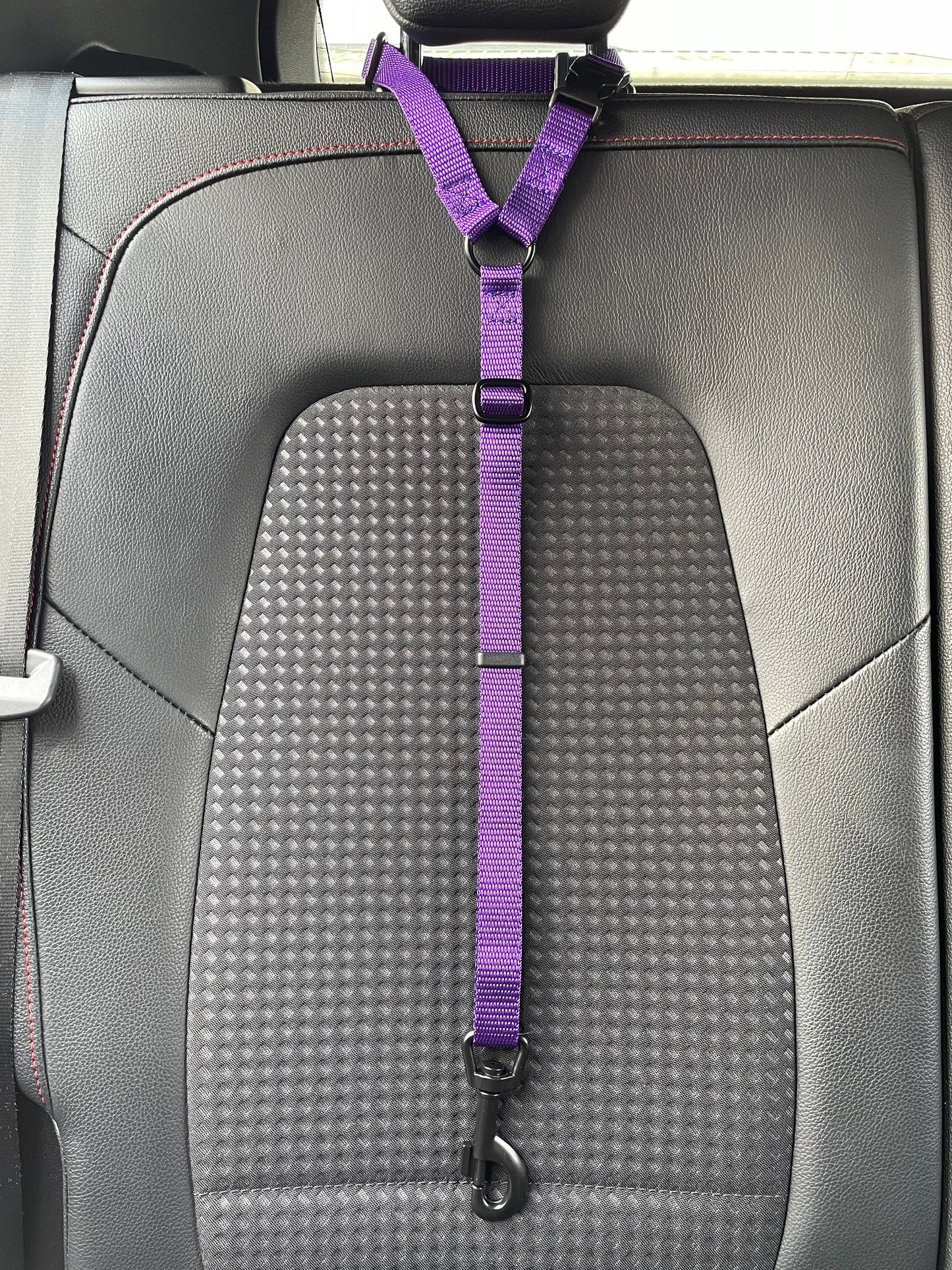Dog Car Seat Belt