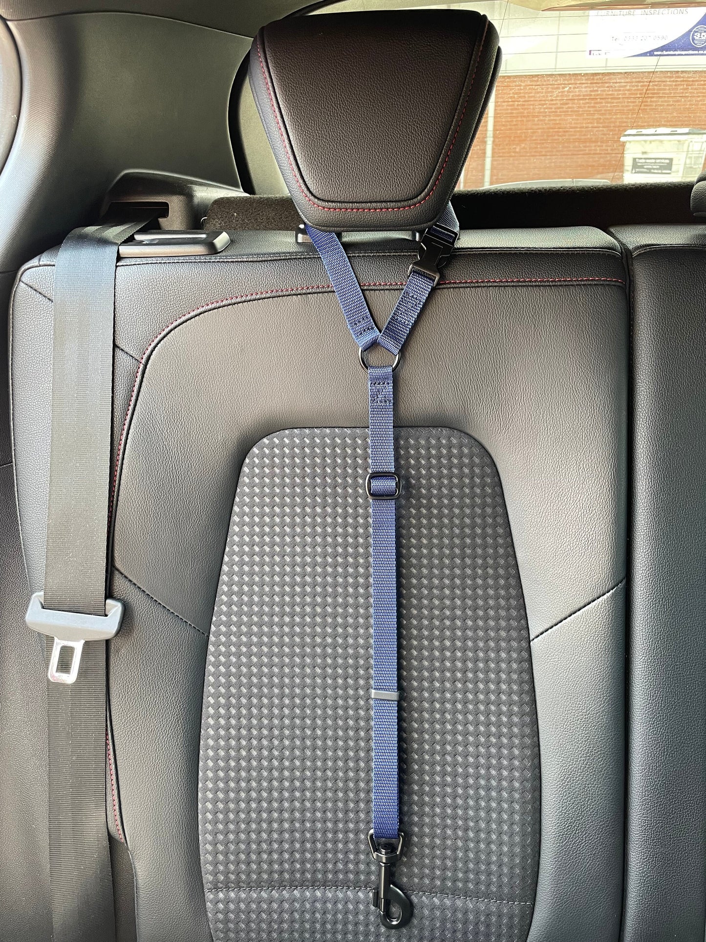 Dog Car Seat Belt
