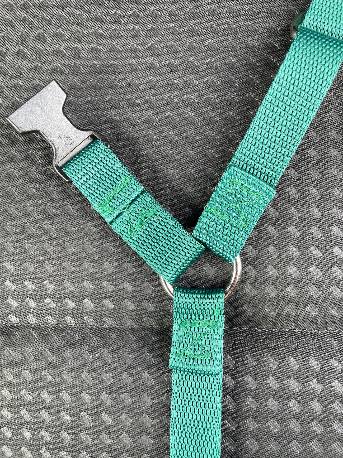 Dog Car Seat Belt