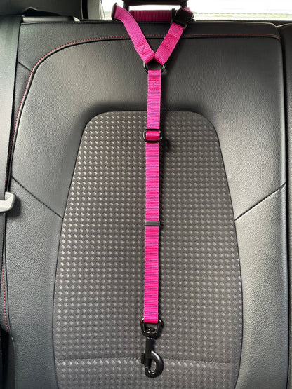 Dog Car Seat Belt