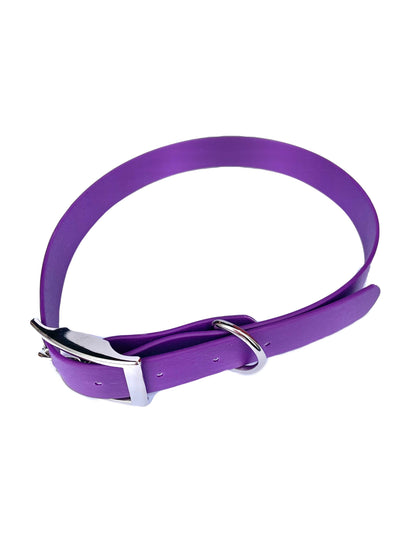 Waterproof Dog Collar (25mm)