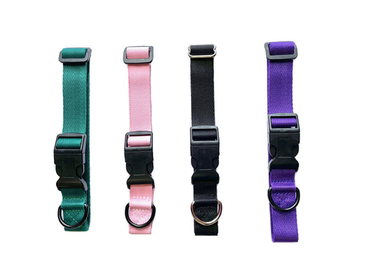 Standard 25mm Dog Collar