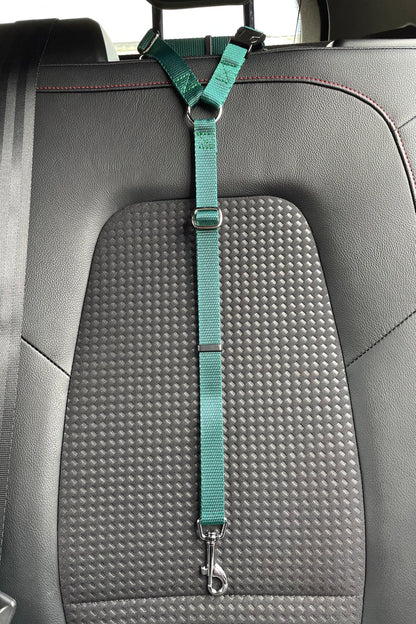 Dog Car Seat Belt