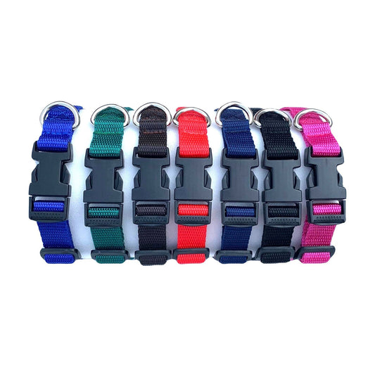 Standard 20mm Dog Collar