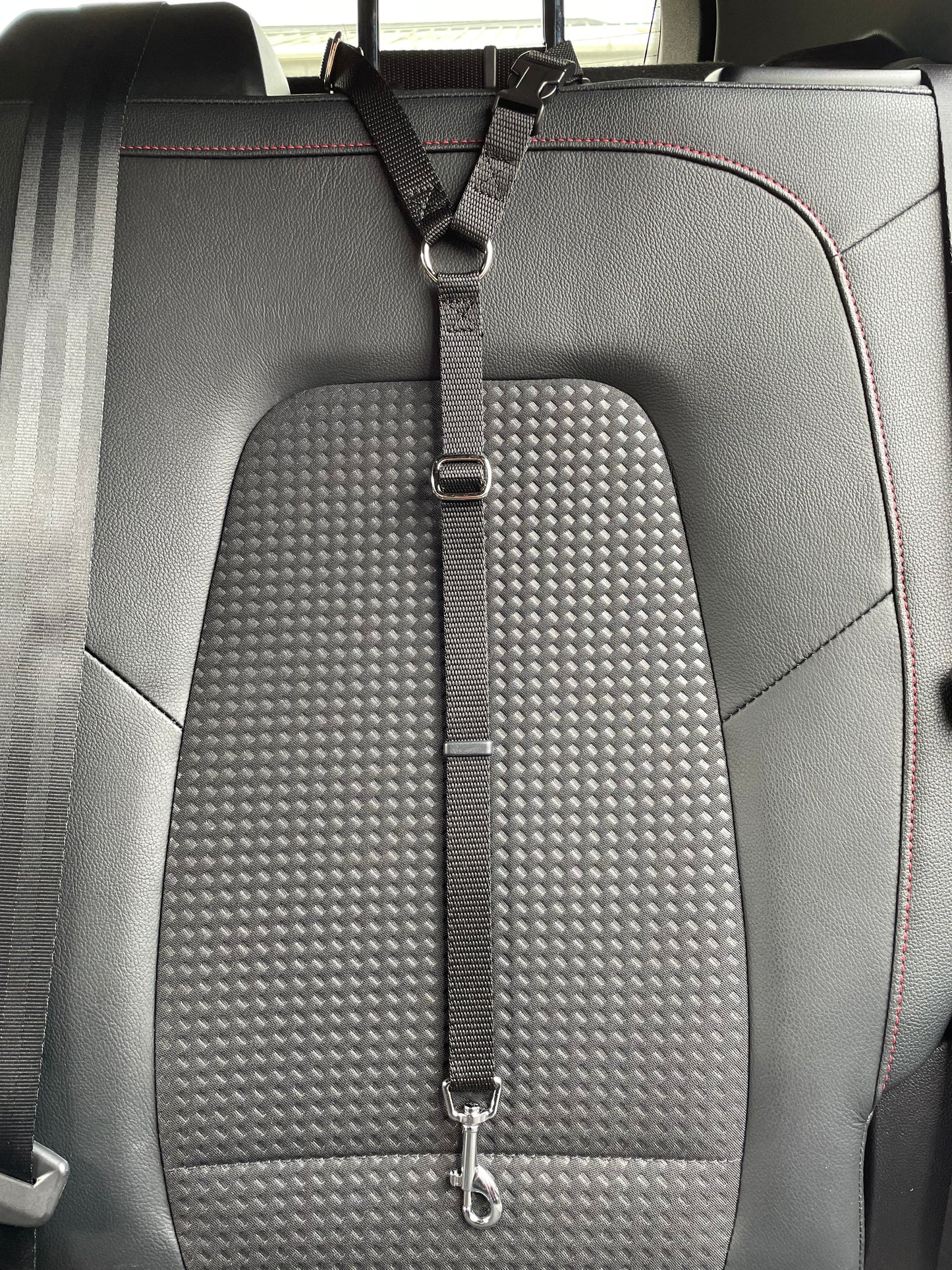 Dog Car Seat Belt