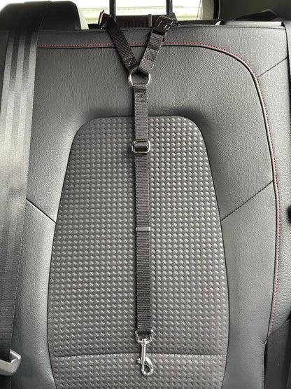 Dog Car Seat Belt
