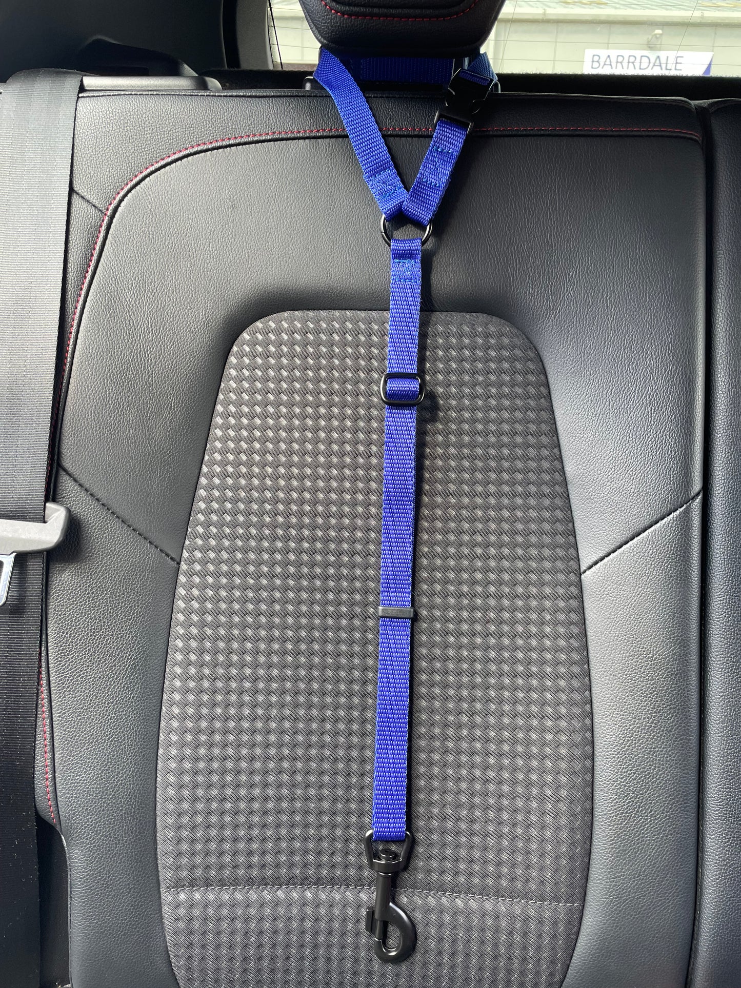 Dog Car Seat Belt
