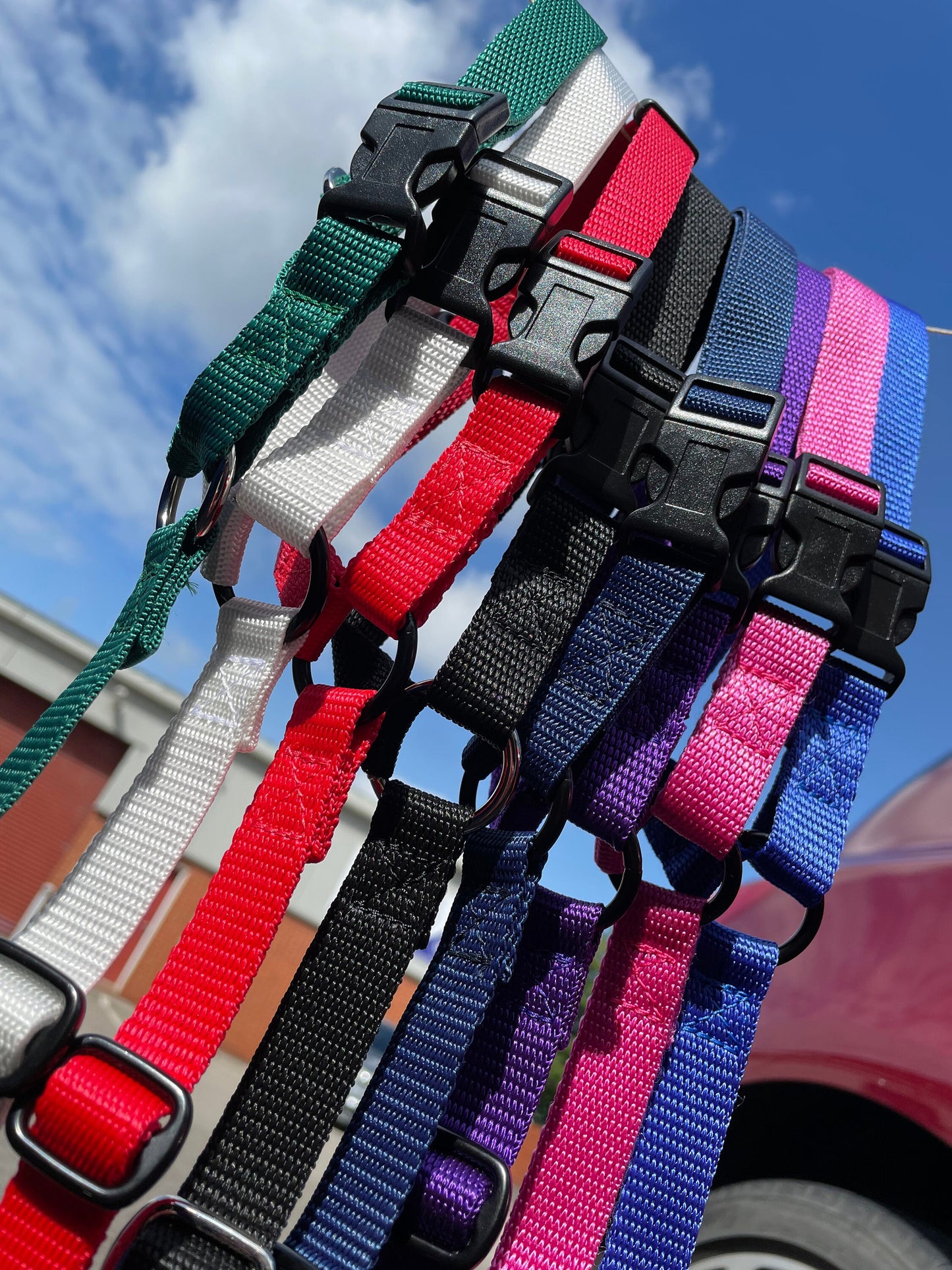 Dog Car Seat Belt