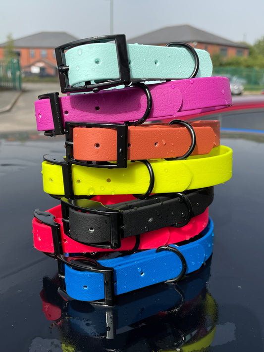 Waterproof Dog Collar (20mm)